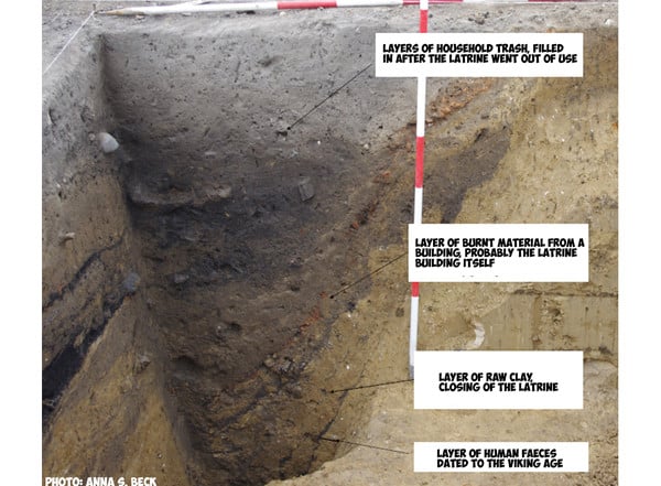 In Denmark in the Municipality of Stevns, in the city of Strøby at the farm called Toftegård, there has been found a 1000-year-old toilet dating back to the Viking age. 
