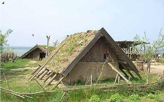 Viking poultry house